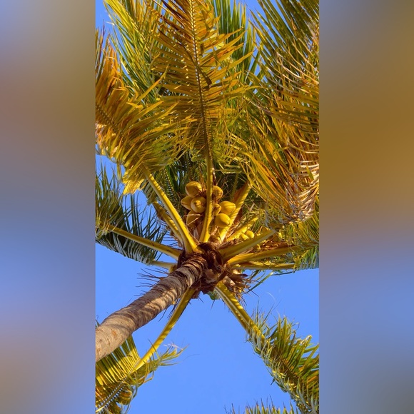 Meet your Posher, Alicia - Picture 2 of 2